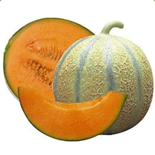 Muskmelon Seeds